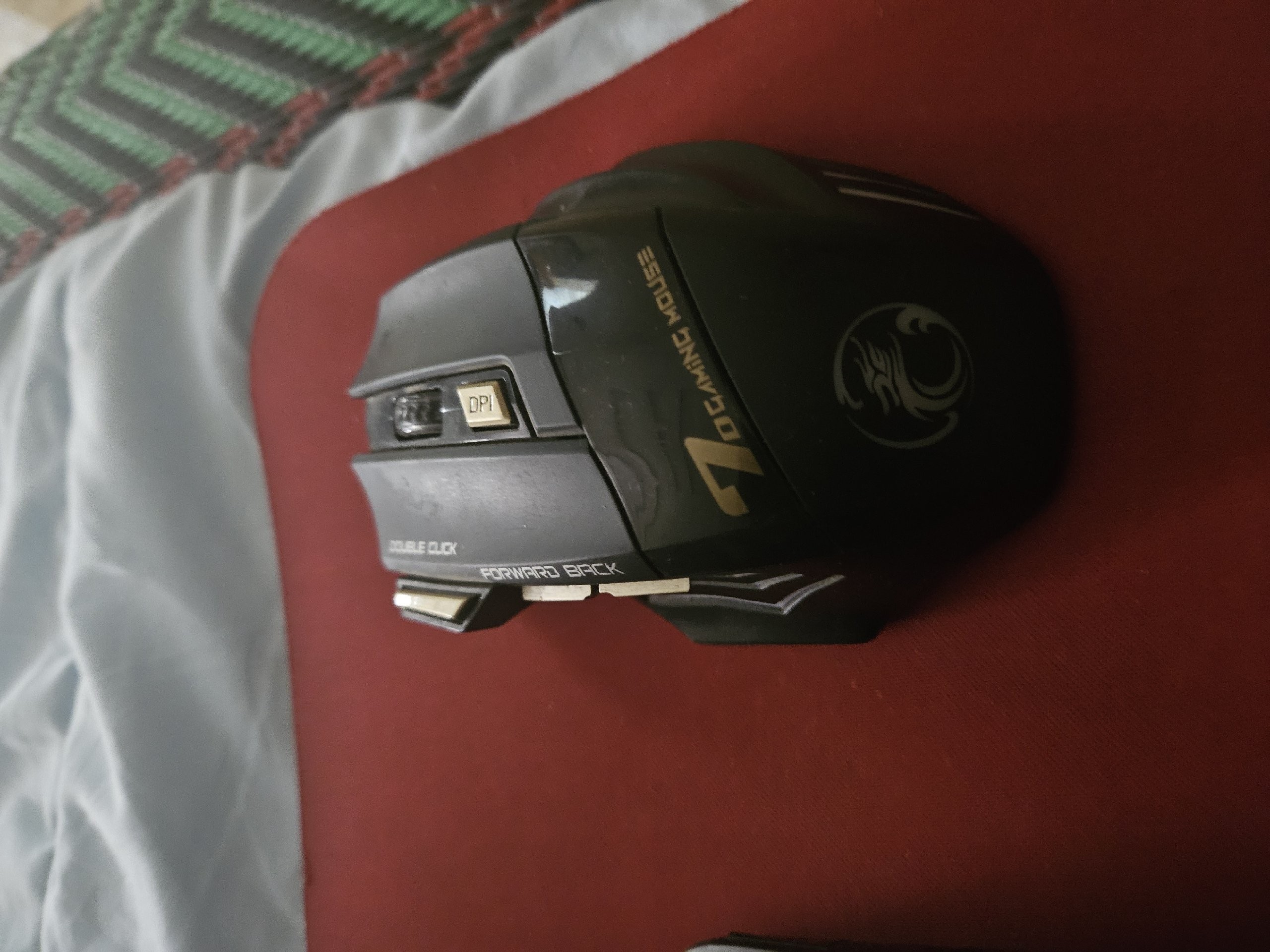mouse